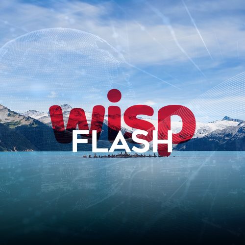 Wisp-flash-1000x1000